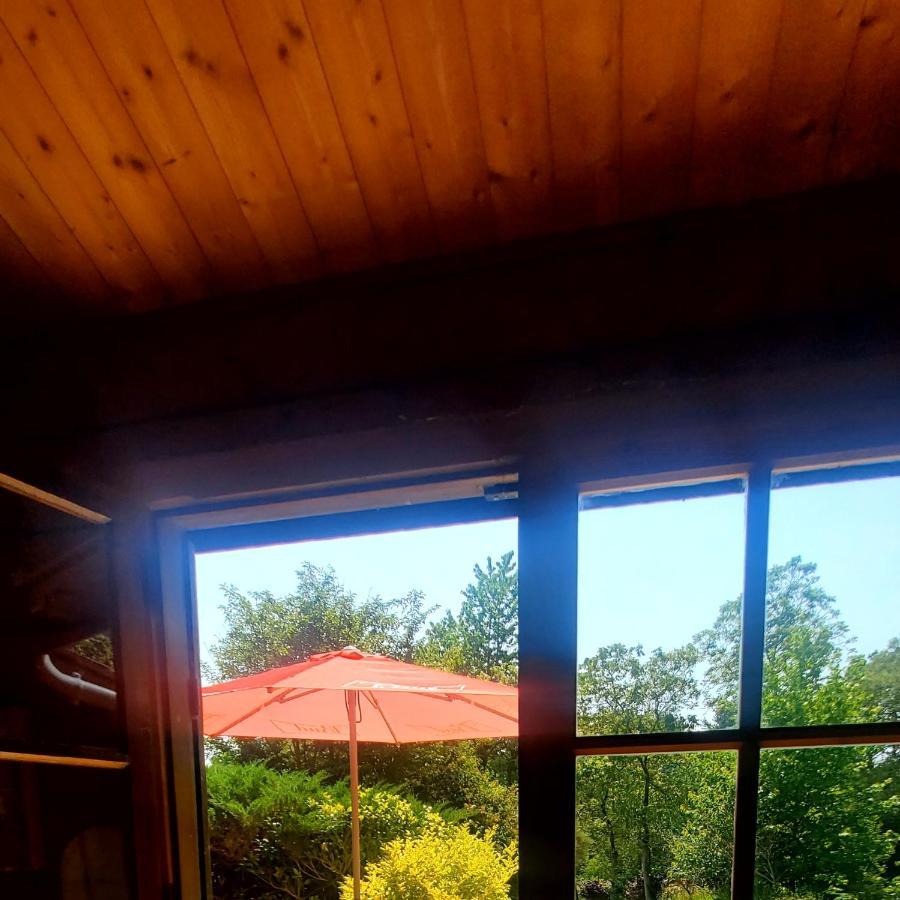 Chalet En Pleine Nature Au Bord D'Un Etang Lanvallay Extérieur photo